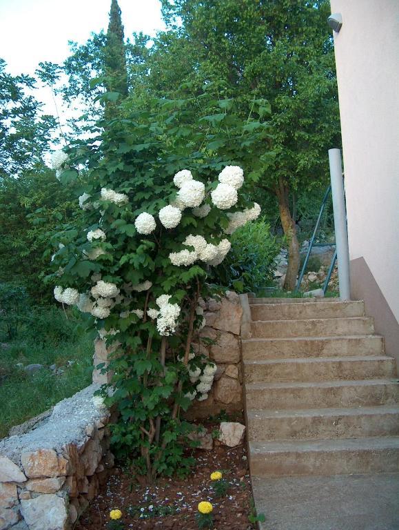 فيلا بتراء Međugorje المظهر الخارجي الصورة